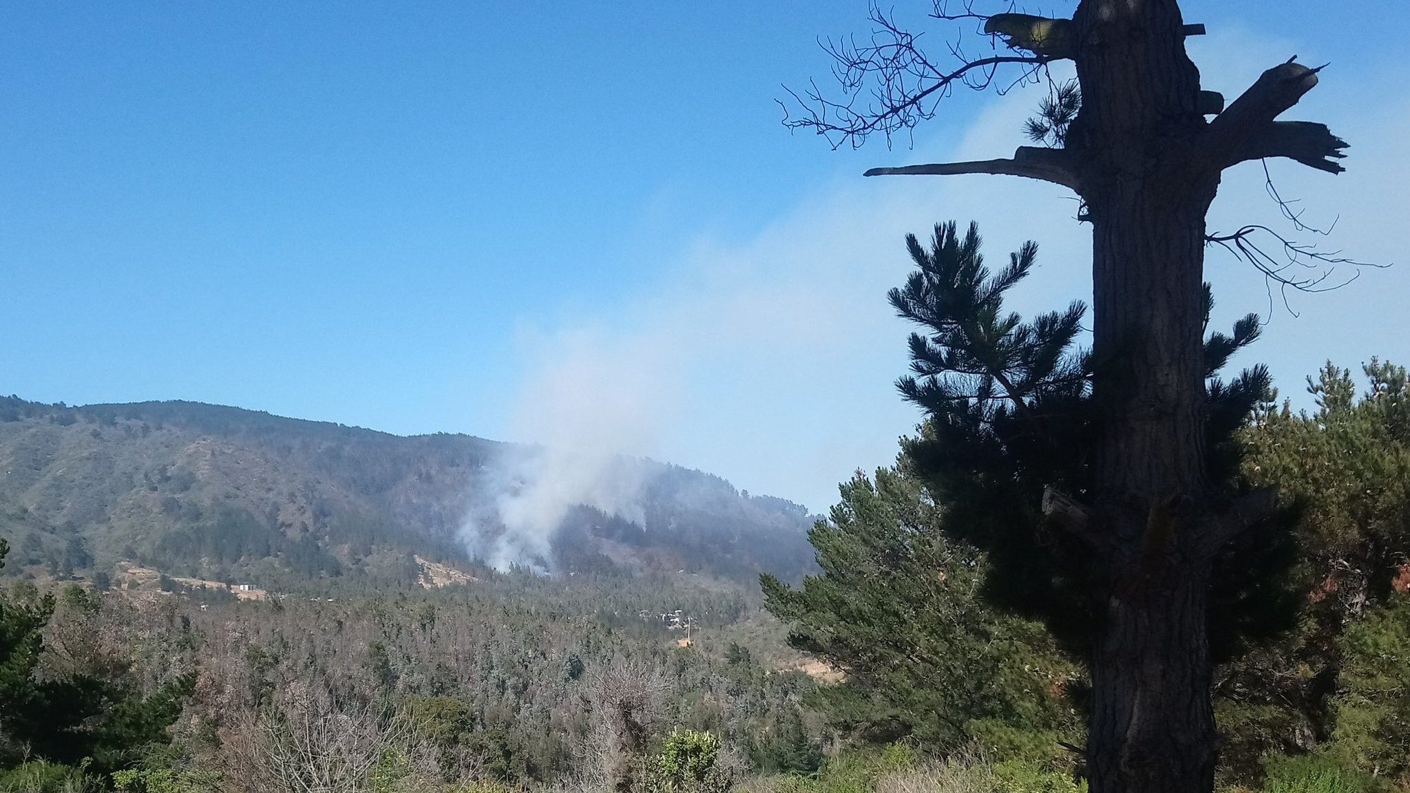 incendio forestal en Valparaíso