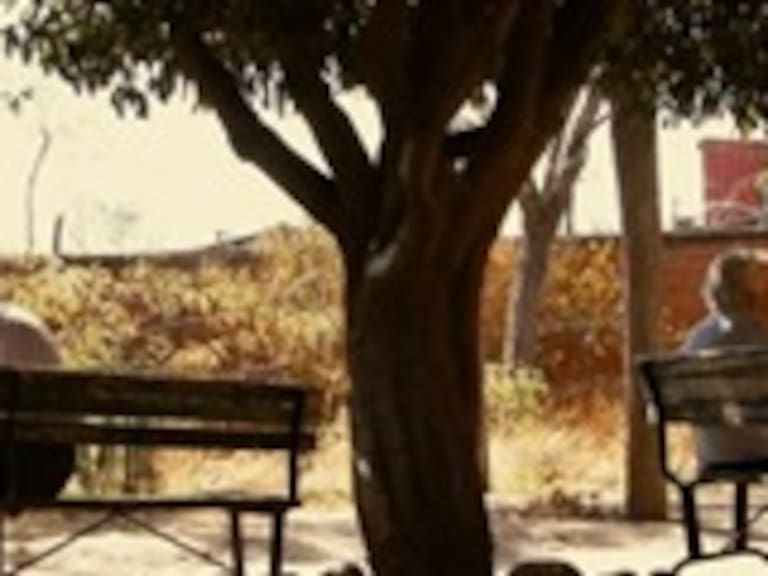 Este jueves se estrena »La última Estación», ganador del premio del público Fidocs 2013