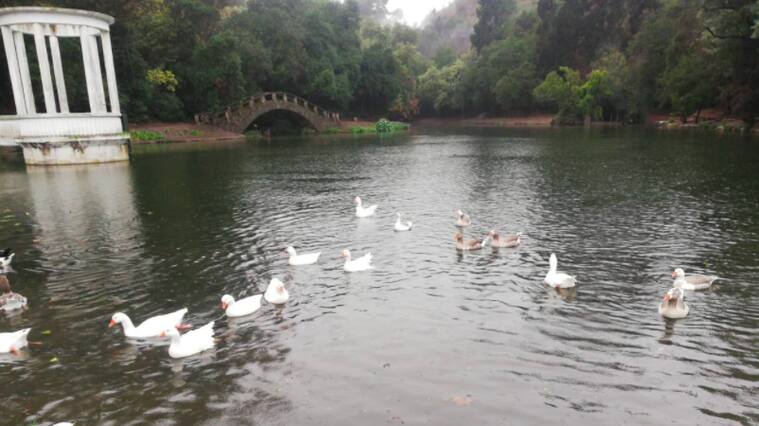 Jardín Botánico de Viña del Mar abrirá este domingo