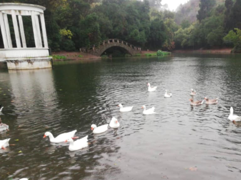 Jardín Botánico de Viña del Mar abrirá este domingo
