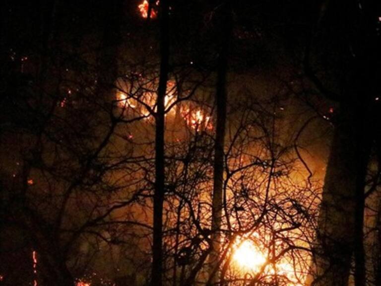 Gobernador de Concepción e incendios forestales: «Tuvimos muchos focos simultáneos»