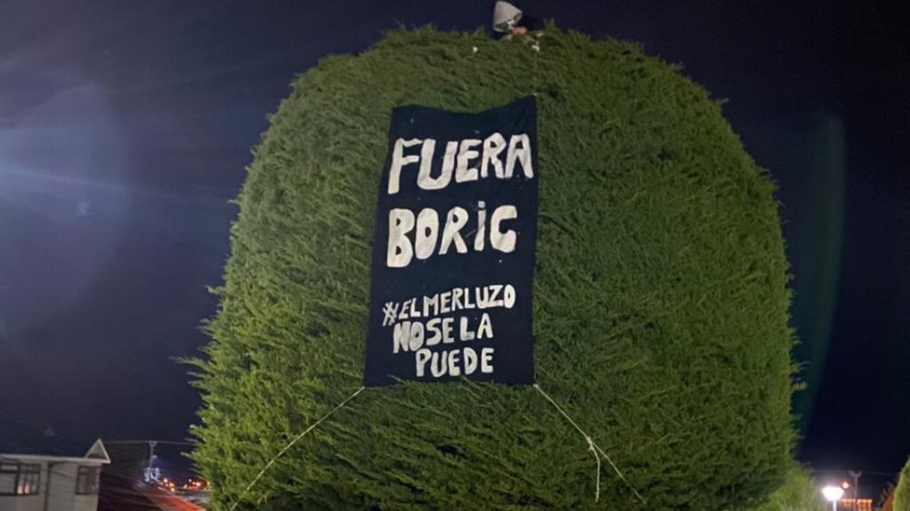 Árbol, Boric, Patagonia