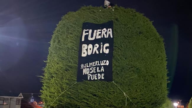 Árbol, Boric, Patagonia
