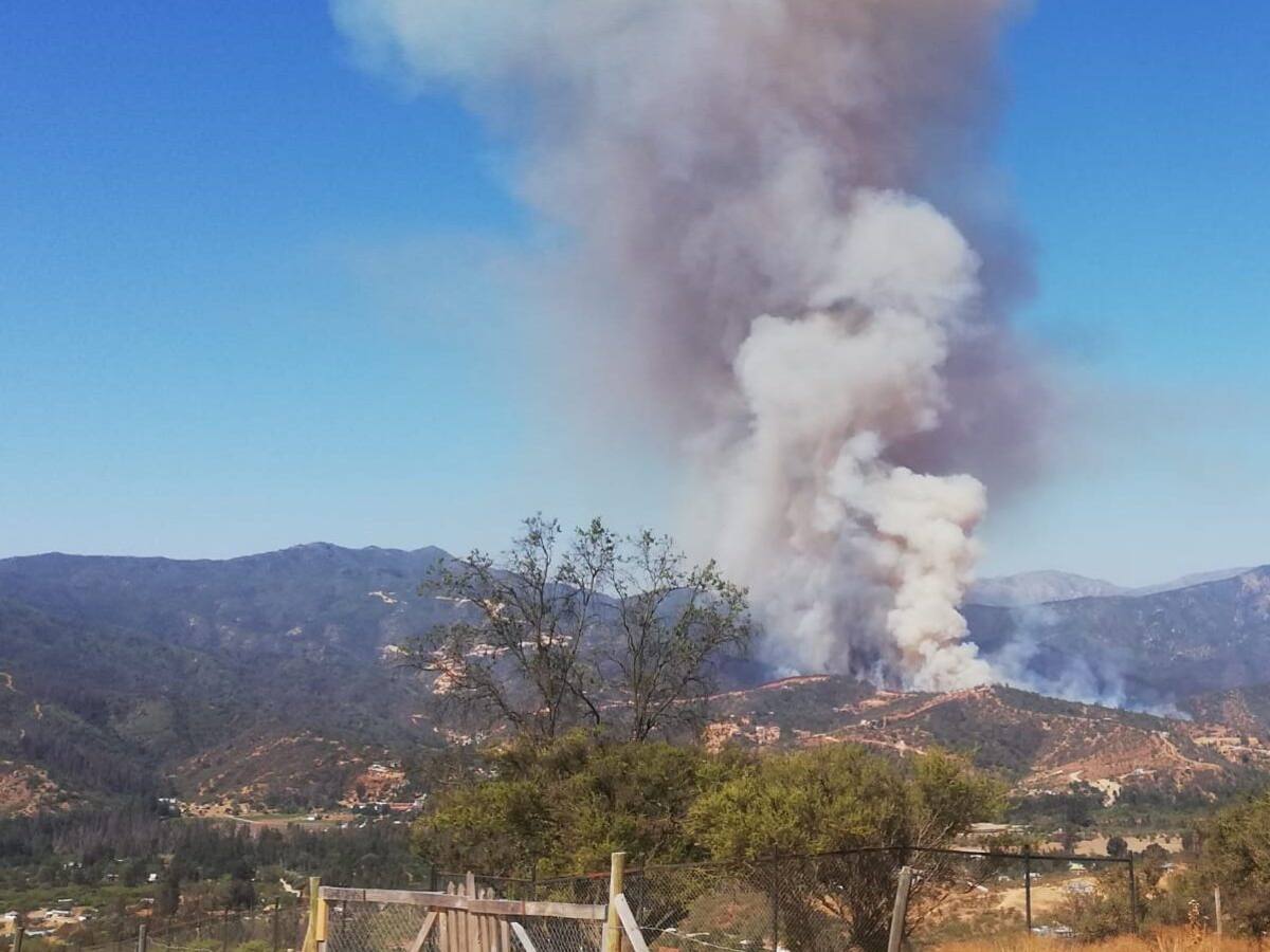 Alerta Roja por incendio forestal que amenaza un grupo de viviendas en Quilpué