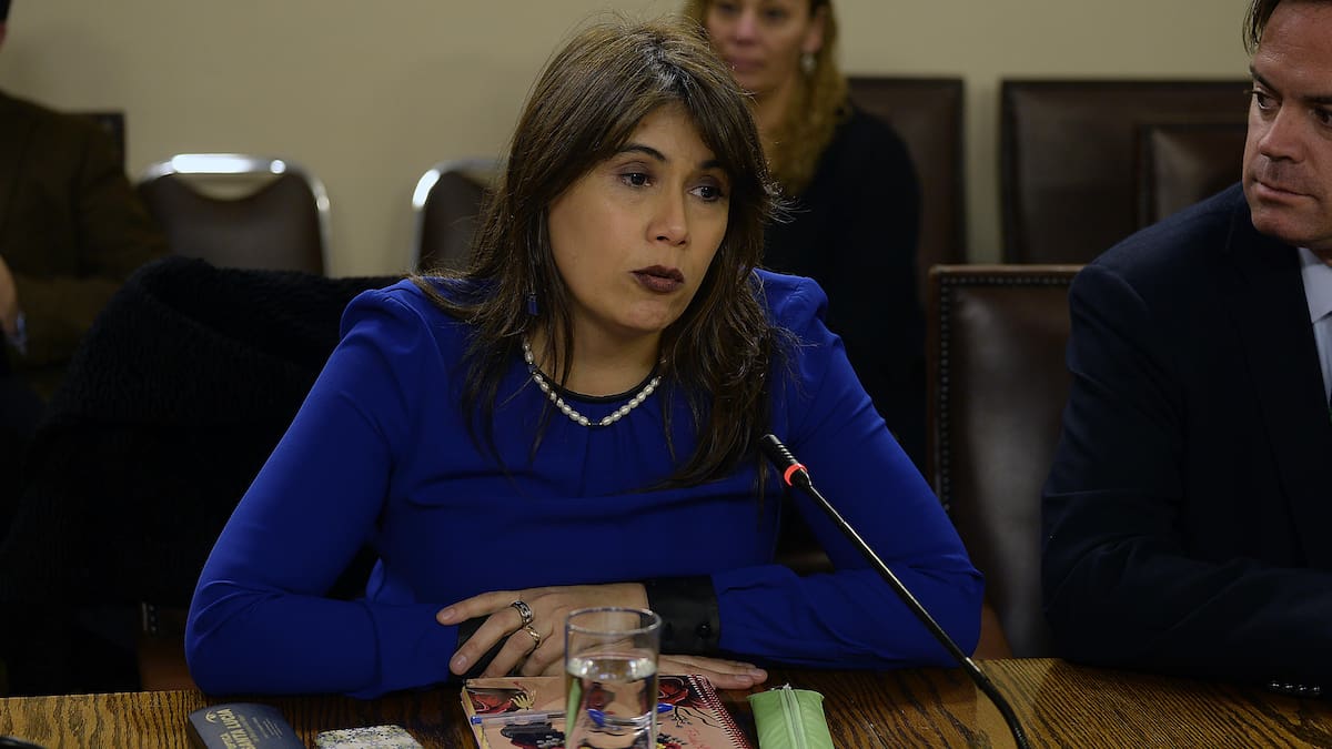 Corte de Apelaciones rechaza millonaria demanda de la exministra Javiera Blanco contra el CDE