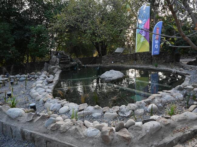Municipalidad de La Reina