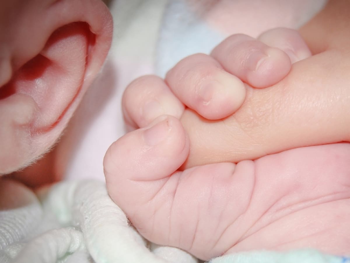 No solo por dinero: estas son las razones por la que los chilenos deciden no tener hijos según encuesta CEP
