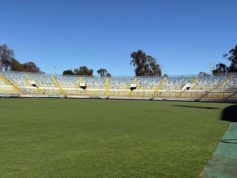 Municipalidad de Viña del Mar