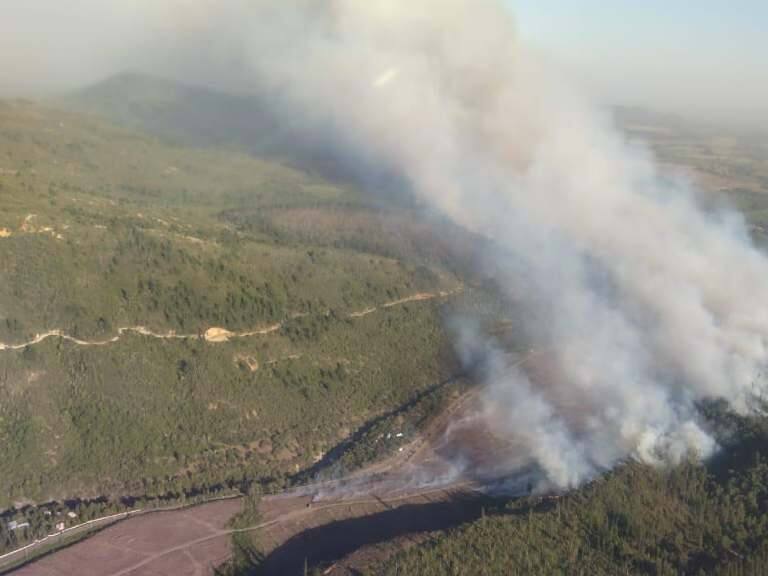 Alerta roja por incendio forestal cercano a viviendas en Molina