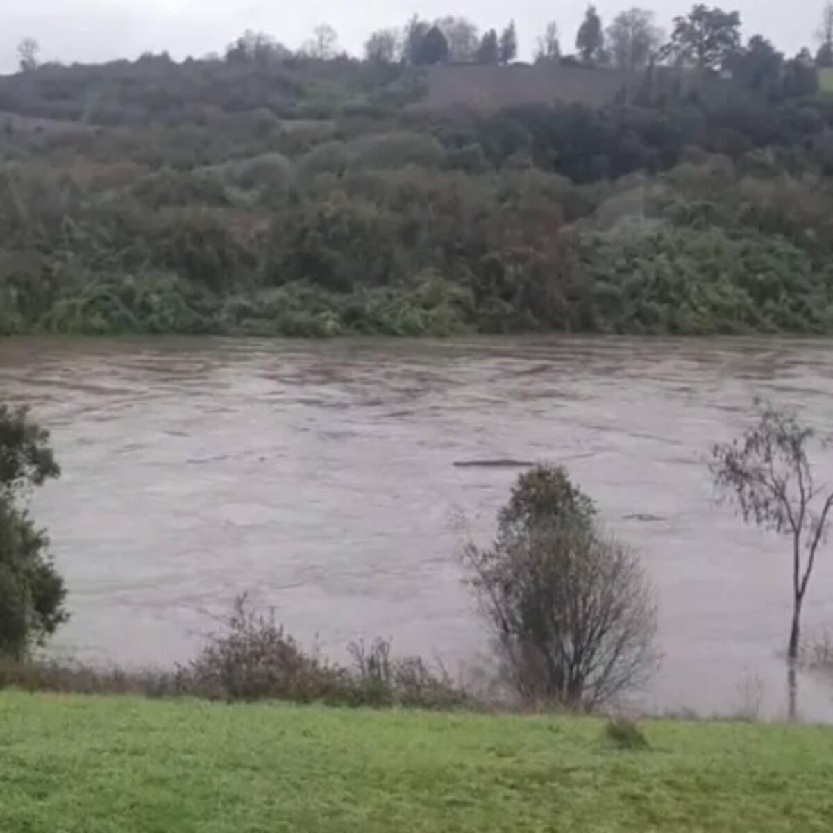 Declaran Alerta Roja en Los Sauces y Angol por crecida del río Rehue