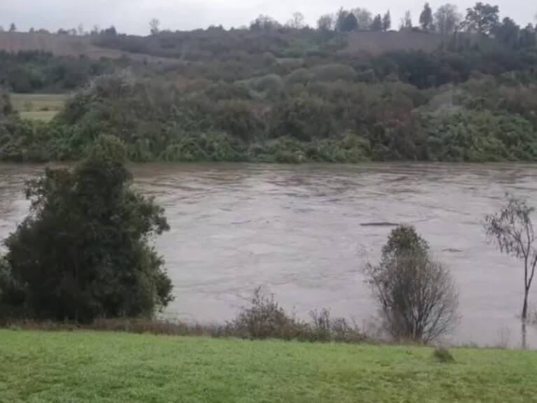 Declaran Alerta Roja en Los Sauces y Angol por crecida del río Rehue