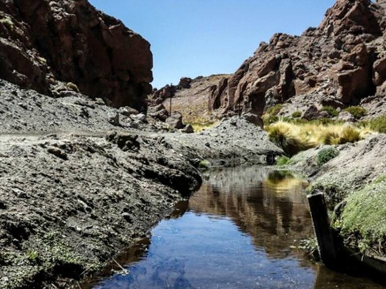 Chile demandará a Bolivia por el río Silala