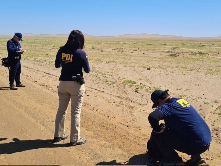 Desierto Florido, 1024x576 jpg ok