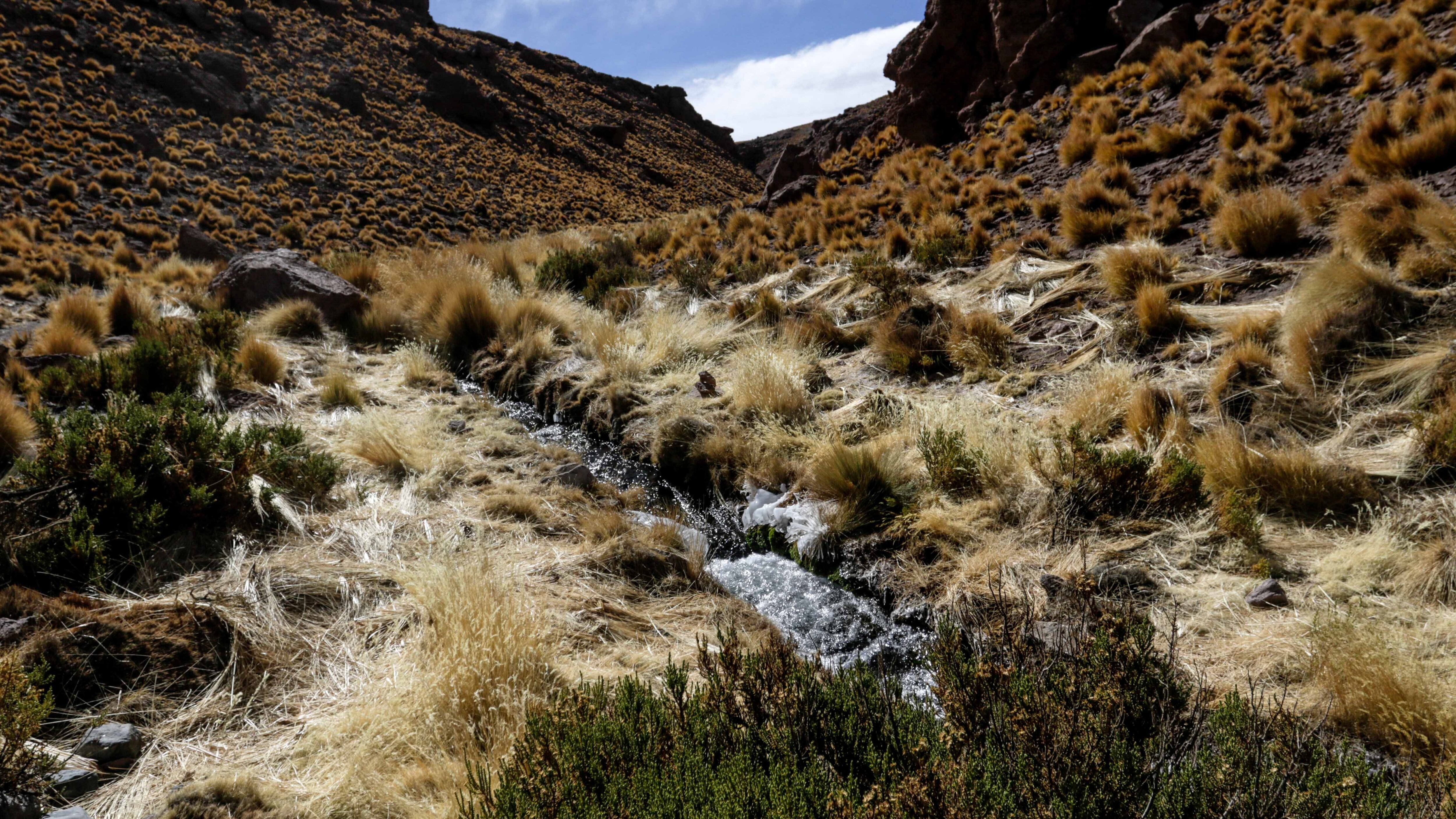 10 de junio de 2016/CALAMA Imagenes del Rio Silala, por el cual Chile demandará a Bolivia ante la Corte Internacional de Justicia de La Haya por la naturaleza de las aguas.
FOTO:JUAN RICARDO/AGENCIAUNO