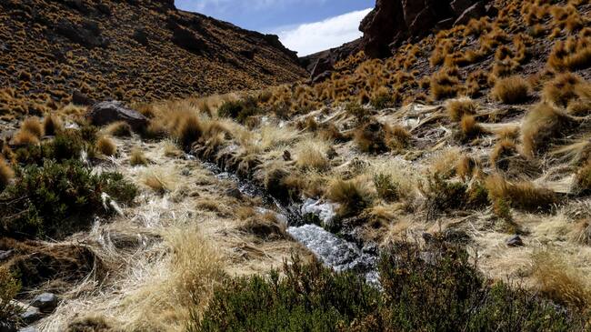 10 de junio de 2016/CALAMA Imagenes del Rio Silala, por el cual Chile demandará a Bolivia ante la Corte Internacional de Justicia de La Haya por la naturaleza de las aguas.
FOTO:JUAN RICARDO/AGENCIAUNO