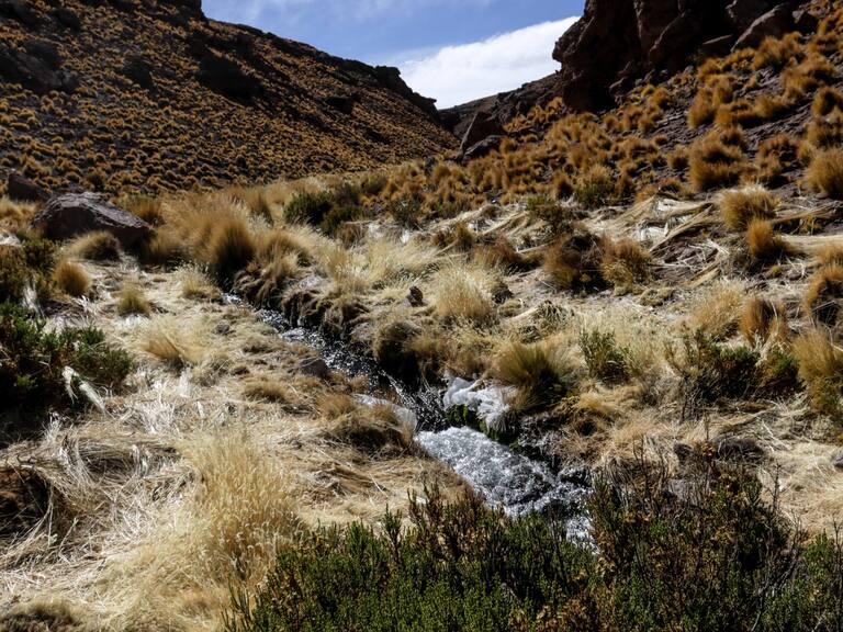 10 de junio de 2016/CALAMA Imagenes del Rio Silala, por el cual Chile demandará a Bolivia ante la Corte Internacional de Justicia de La Haya por la naturaleza de las aguas.
FOTO:JUAN RICARDO/AGENCIAUNO