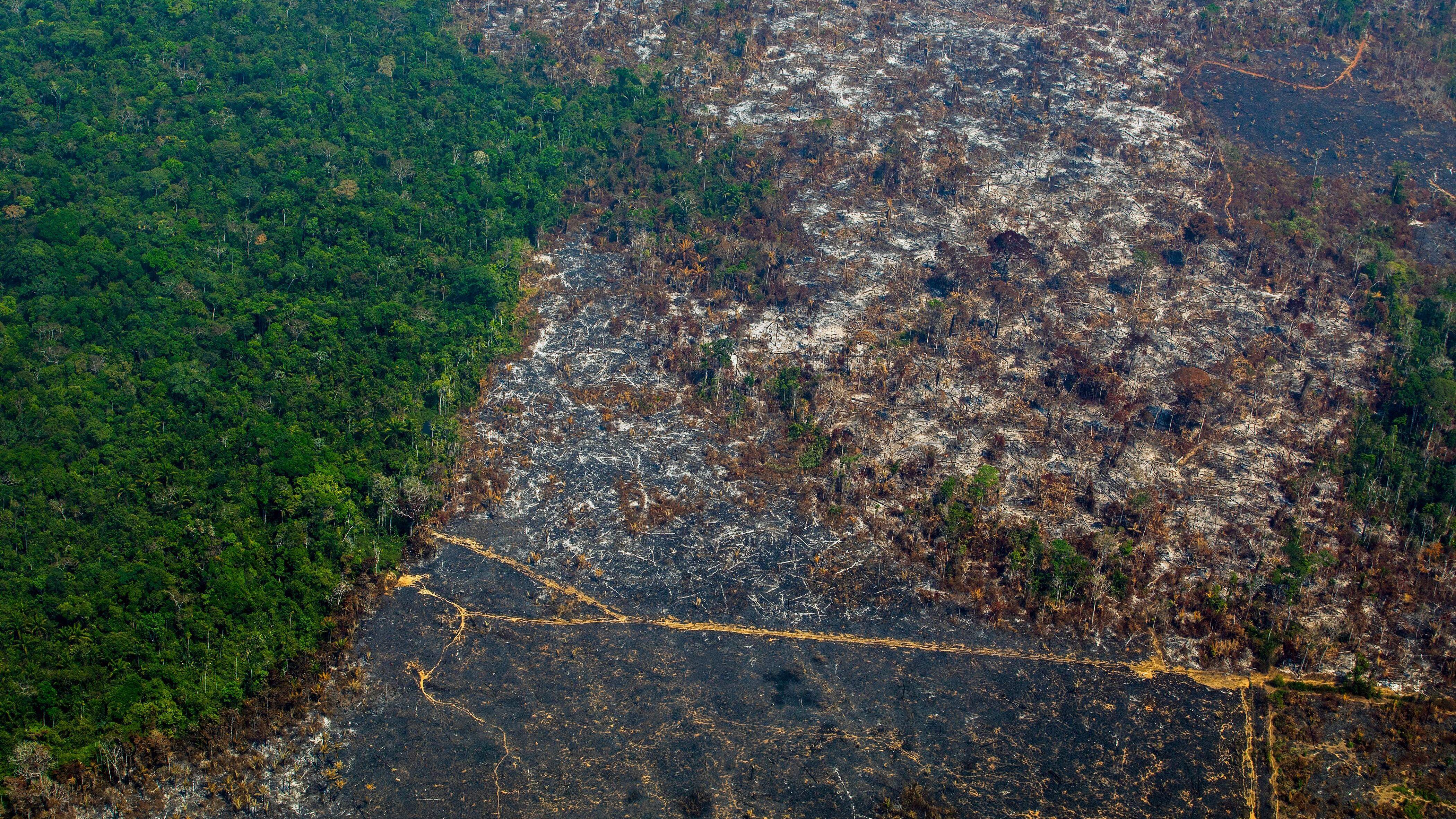 Deforestación en Amazonia