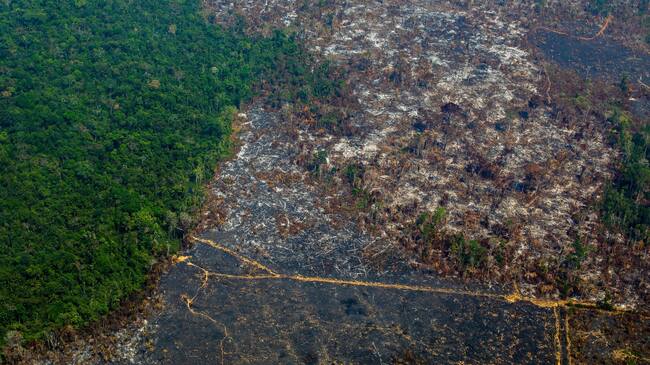 Deforestación en Amazonia