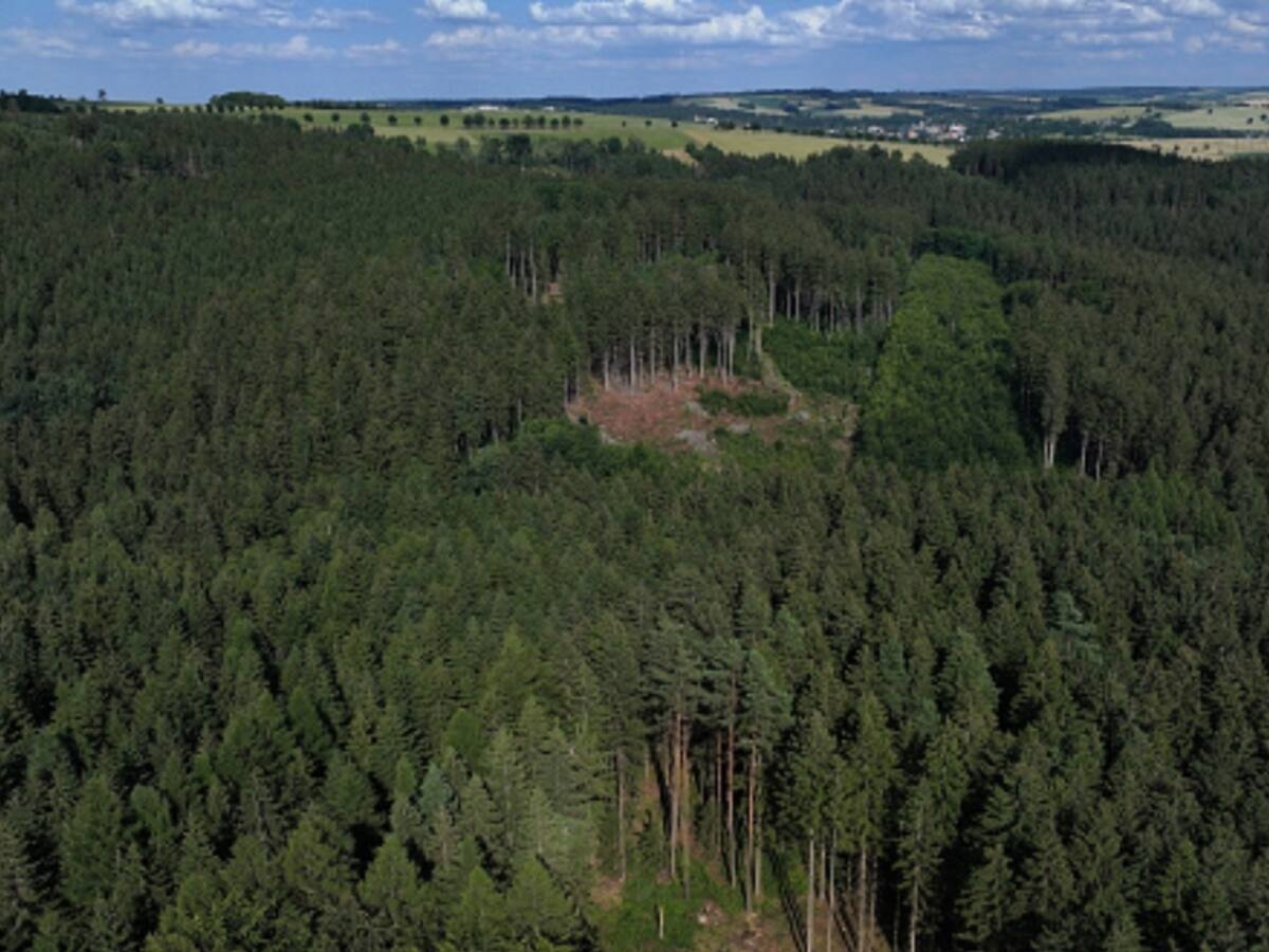Informe País: documento aborda las urgencias medioambientales en Chile
