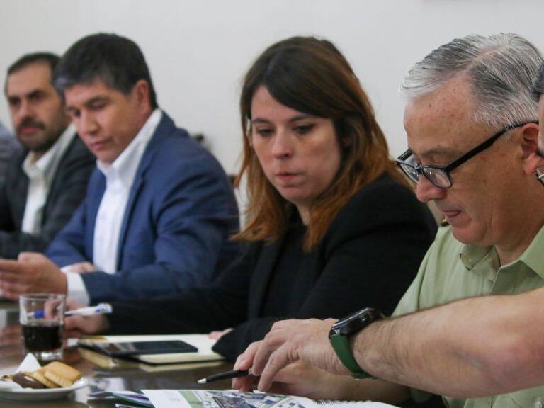 Constanza Martínez, delegación presiencial, carabineros, 18 de octubre, 1024x576 jpg ok