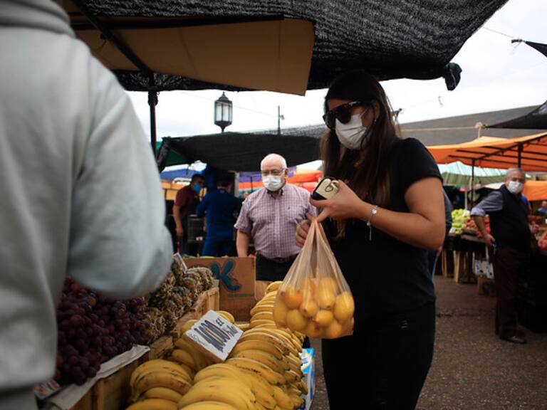 Limones (referencial)