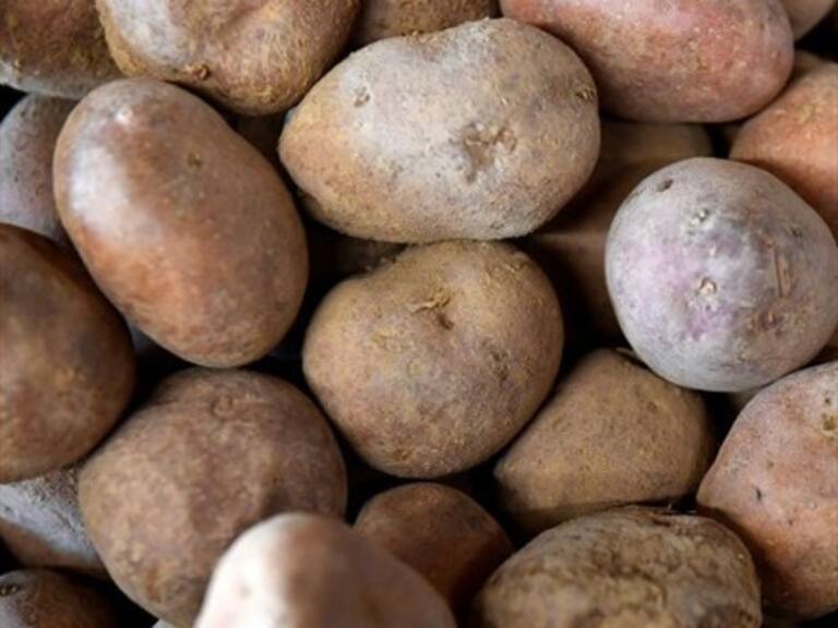 IPC de octubre registró un alza de 0,4 %