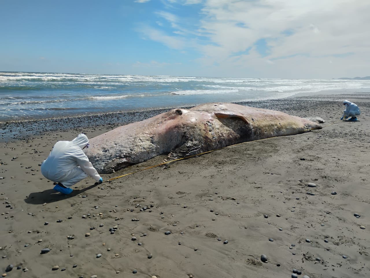 Servicio Nacional de Pesca y Acuicultura