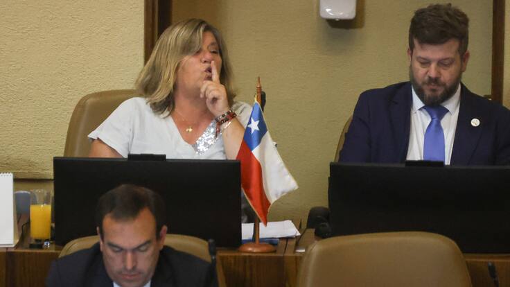 “Basta de reírse en nuestra cara...” La feroz crítica al plan del Gobierno de la diputada Gloria Naveillán