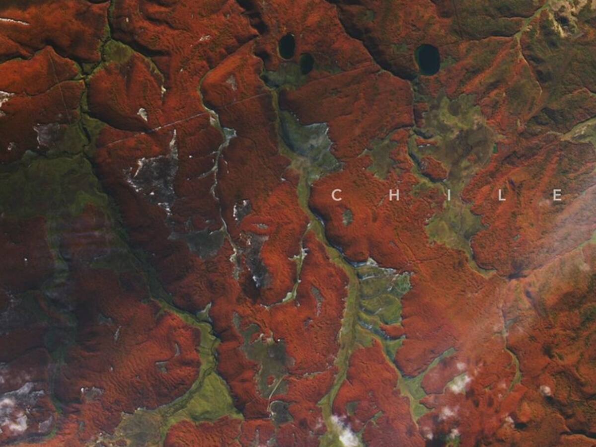 La NASA comparte imágenes de la Patagonia chilena teñida de rojo por un interesante proceso biológico