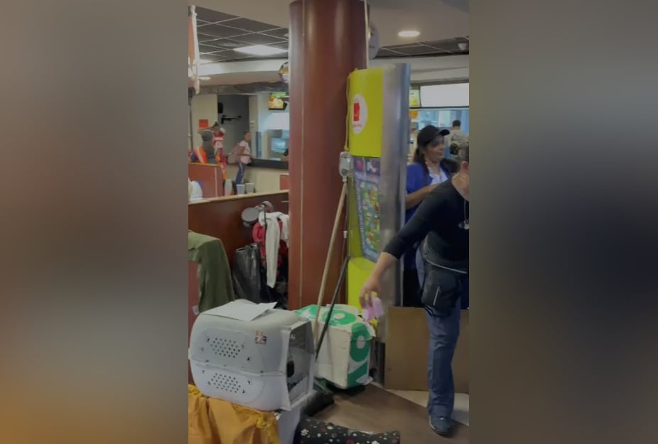 McDonald’s se transforma en un refugio improvisado para atender animales por doble terremoto en Venezuela