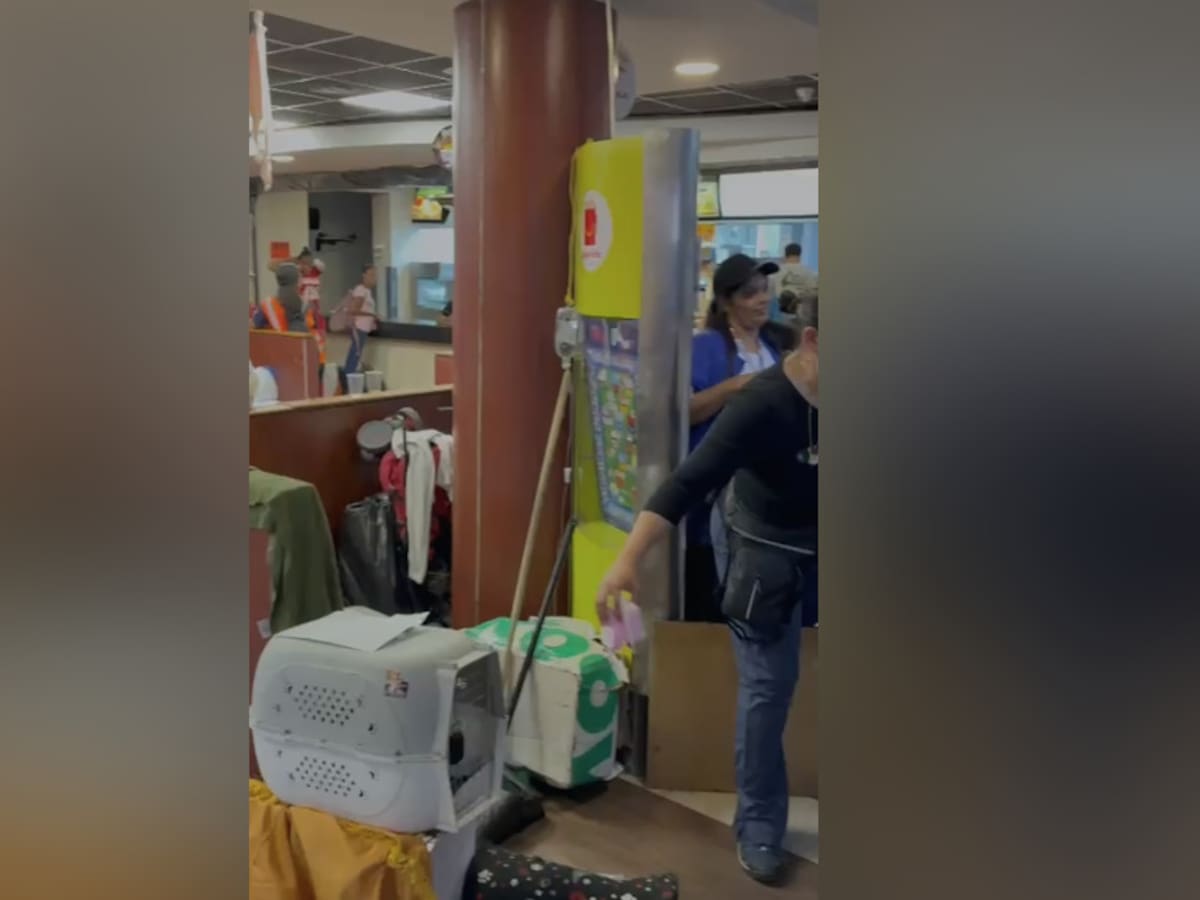 El inesperado refugio que nació tras doble terremoto en Venezuela: local de comida rápida se convierte en hogar para animales