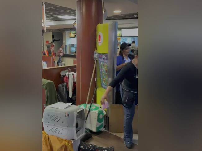 McDonald’s se transforma en un refugio improvisado para atender animales por doble terremoto en Venezuela