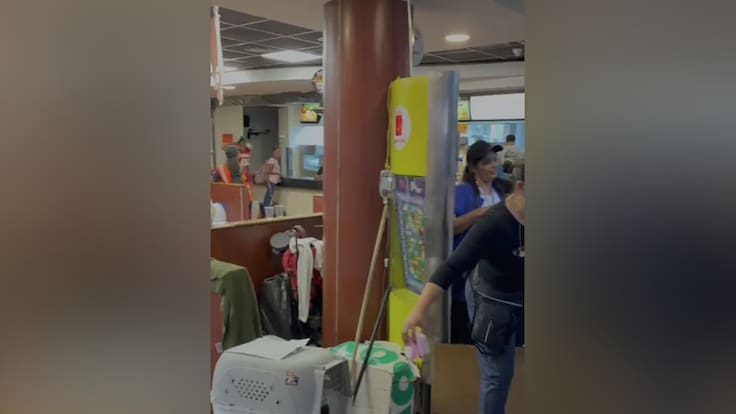 El inesperado refugio que nació tras doble terremoto en Venezuela: local de comida rápida se convierte en hogar para animales