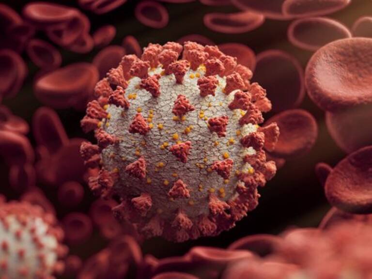 Chile registró 230 casos nuevos de coronavirus Covid-19 en las últimas 24 horas