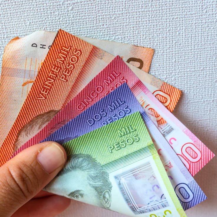 Comienza el pago del ex Bono Marzo 2026: cómo recibir el Aporte Familiar y cuánto dinero entrega