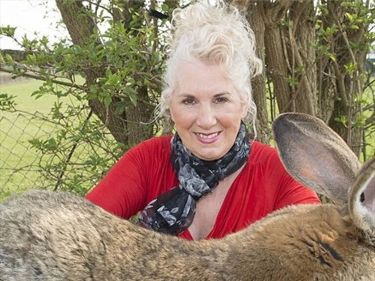 Conejo gigante murió en un vuelo de United Airlines