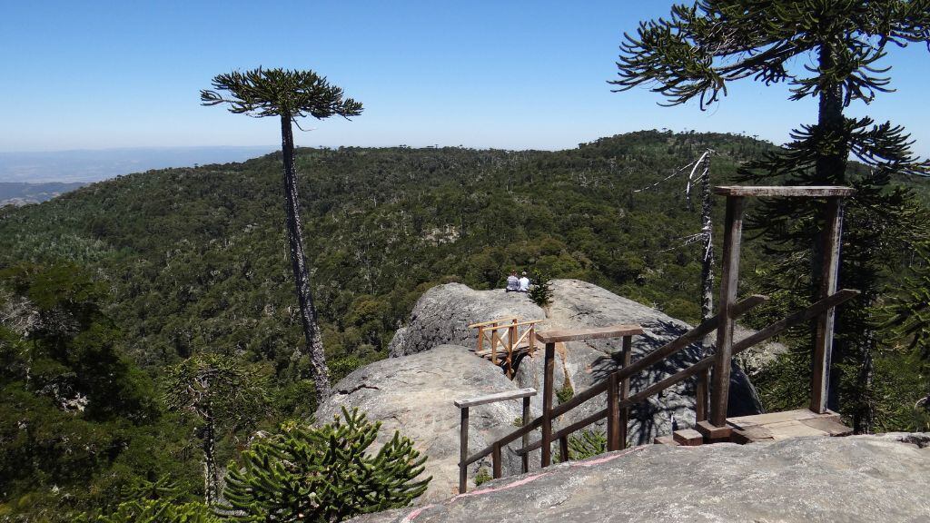 Parque Nacional Nahuelbuta, Nahuelbuta, 1024x576 jpg ok