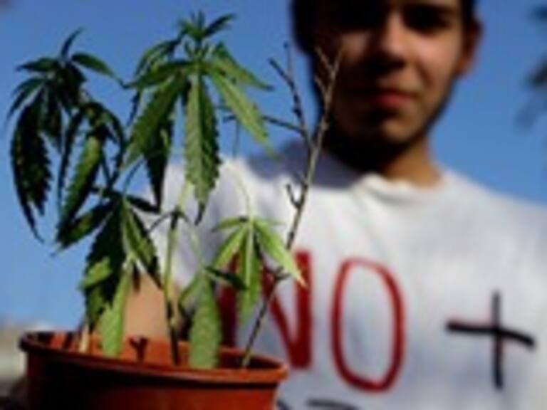 Fernando Paulsen: Hay una insensatez sistémica en no permitir la marihuana medicinal