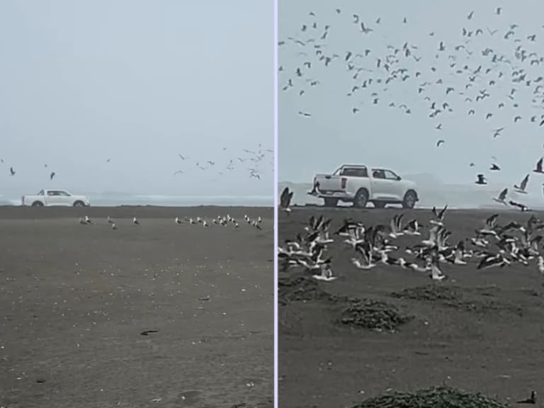 Fundación Humedal de Mantagua