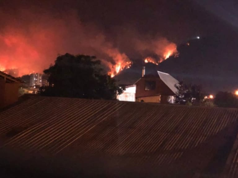 Incendio forestal afecta a Chiguayante: 67 residentes de dos hogares de ancianos fueron evacuados