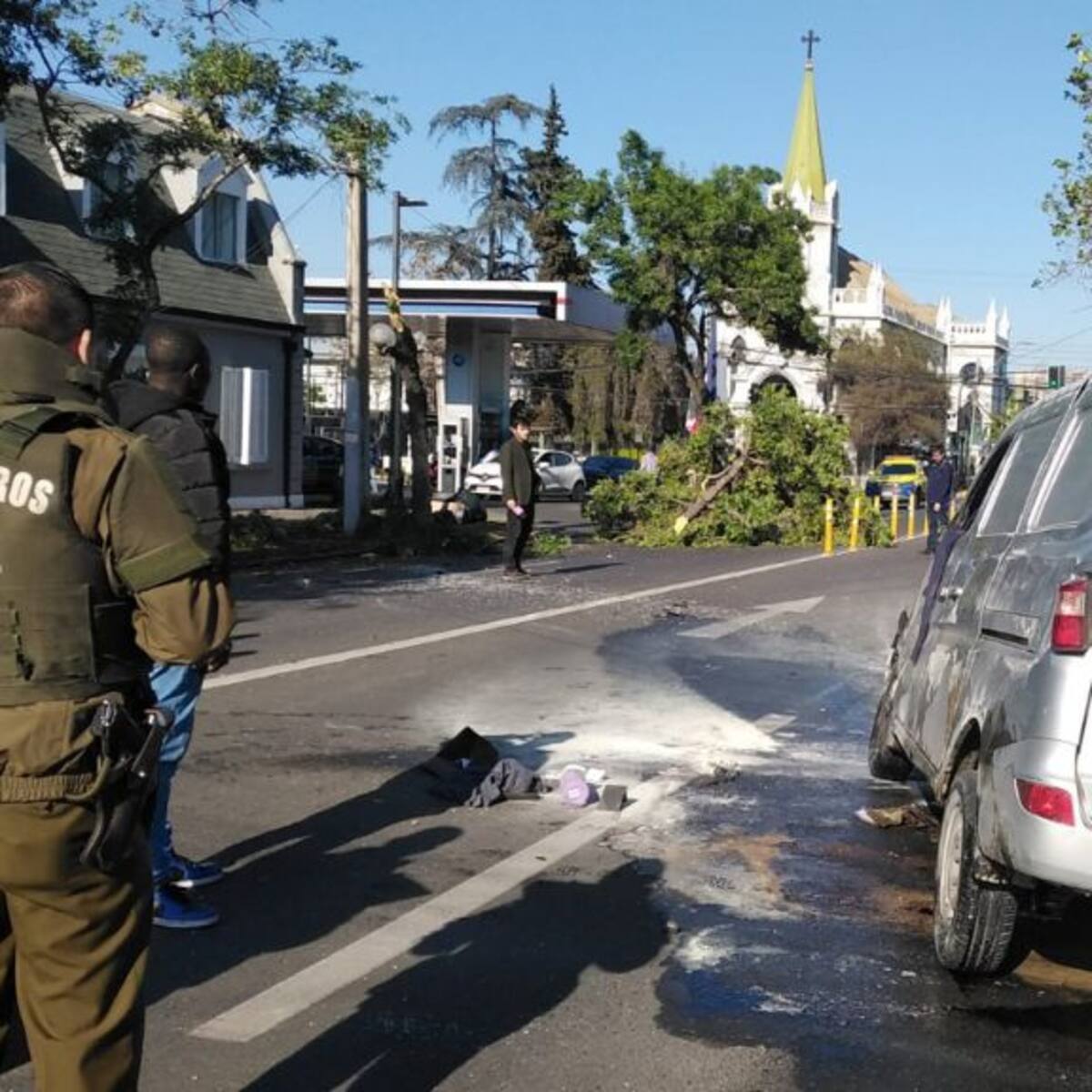 Accidente de tránsito en Providencia: furgón choca contra árbol y lo derriba de raíz