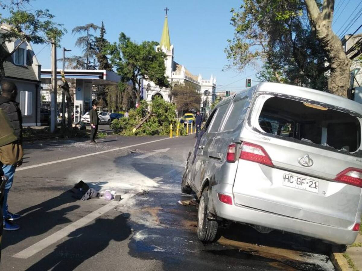 Accidente de tránsito en Providencia: furgón choca contra árbol y lo derriba de raíz