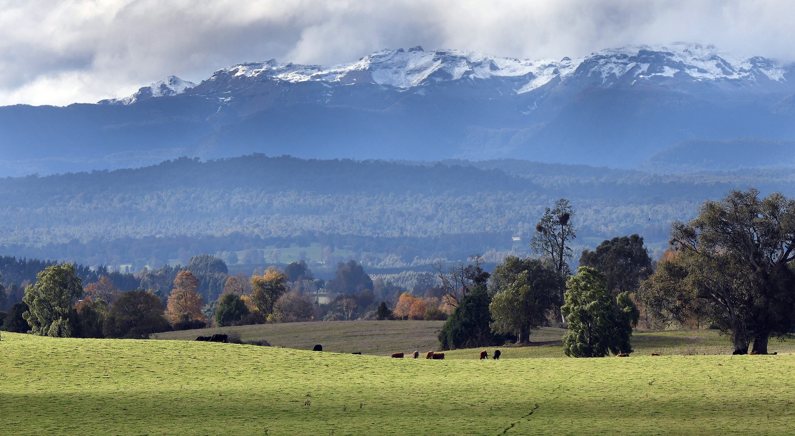 Contexto | Foto de Valdivia | Suspenden proyectos inmobiliarios Agencia Uno