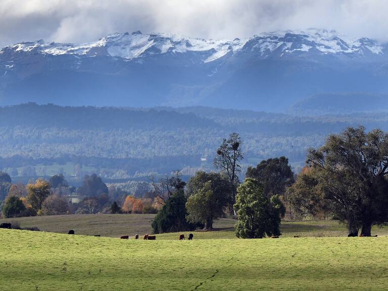 Contexto | Foto de Valdivia | Suspenden proyectos inmobiliarios Agencia Uno