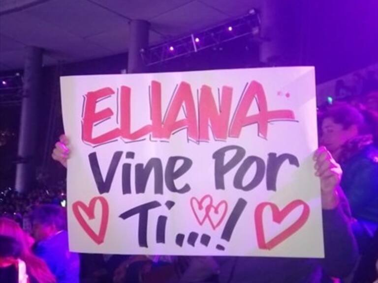 La tierna historia detrás del cartel «Eliana vine por ti» en el show de Raphael