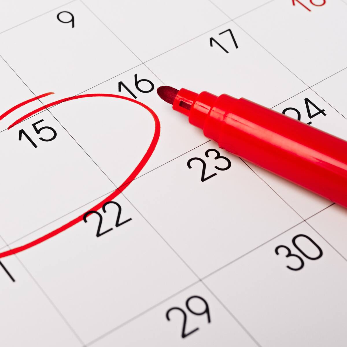 Feriados en Chile 2025: ¿Cuántos fines de semana largos quedan en el calendario?