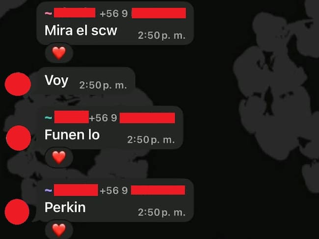 Cedida a ADN