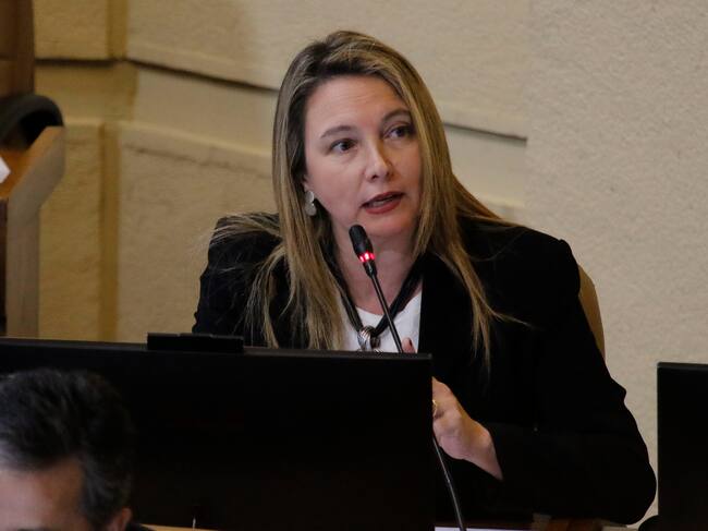 Agencia Uno | La diputada Catalina del Real