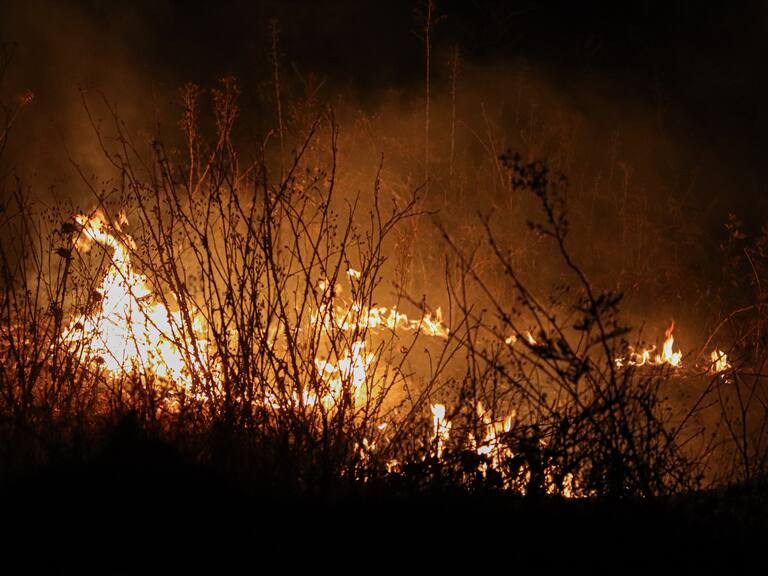 Incendio forestal en Requínoa consume más de 75 hectáreas y amenaza otras zonas