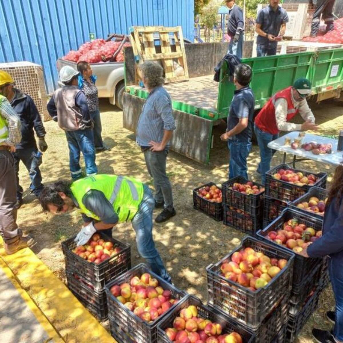 Ministerio de Agricultura y gremios del sector envían toneladas de alimentos a familias afectadas por incendios en Viña del Mar